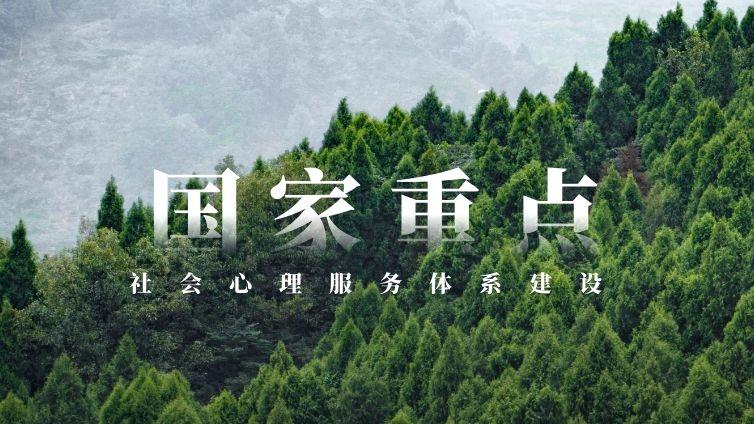 关于印发全国社会心理服务体系建设试点2021年重点工作任务的通知